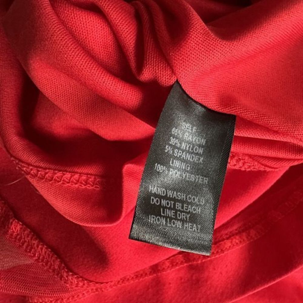 Lulu’s Sheer Factor Red Mesh Skater Dress - Picture 11 of 14